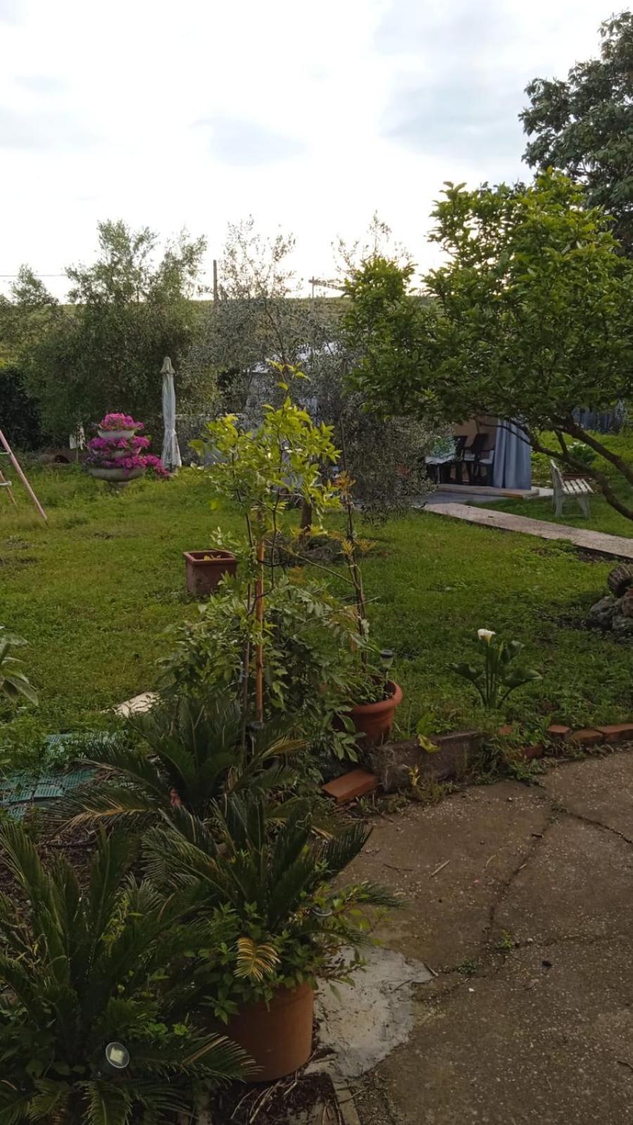 Casina Maria Lägenhet Rom Exteriör bild